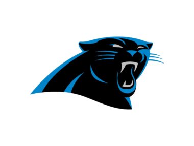 Carolina Panthers Color Codes