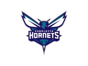 Charlotte Hornets Color Codes
