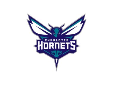 Charlotte Hornets Color Codes