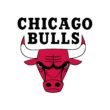 Chicago Bulls Color Codes