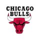 Chicago Bulls Color Codes