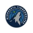 Minnesota Timberwolves Color Codes