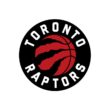 Toronto Raptors Color Codes