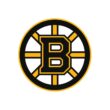 Boston Bruins Color Codes