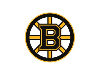 Boston Bruins Color Codes