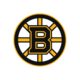 Boston Bruins Color Codes