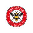 Brentford FC Color Codes