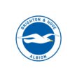 Brighton & Hove Albion FC Color Codes