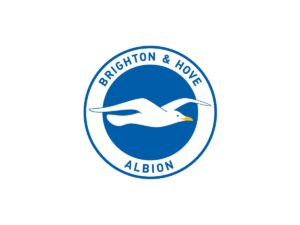 Brighton & Hove Albion FC Color Codes