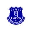 Everton FC Color Codes