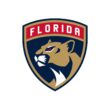Florida Panthers Color Codes