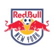 New York Red Bulls Color Codes