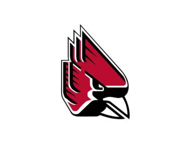 Ball State Cardinals Color Codes