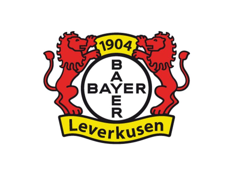 Bayer 04 Leverkusen Color Codes