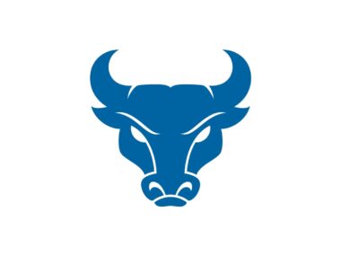 Buffalo Bulls Color Codes