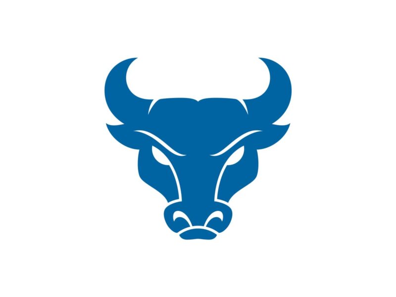Buffalo Bulls Color Codes