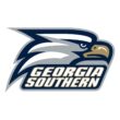 Georgia Southern Eagles Color Codes