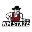 New Mexico State Aggies Color Codes