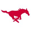 SMU Mustangs Color Codes