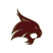 Texas State Bobcats Color Codes