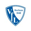 VfL Bochum 1848 Color Codes
