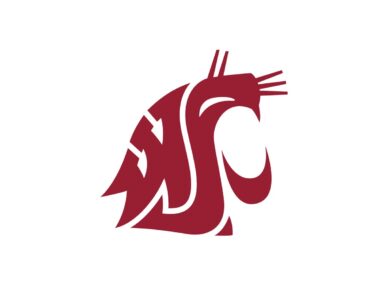 Washington State Cougars Color Codes