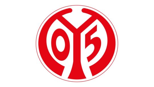 1 Fsv Mainz 05 Color Codes