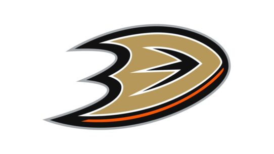 Anaheim Ducks Color Codes