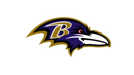 Baltimore Ravens Color Codes