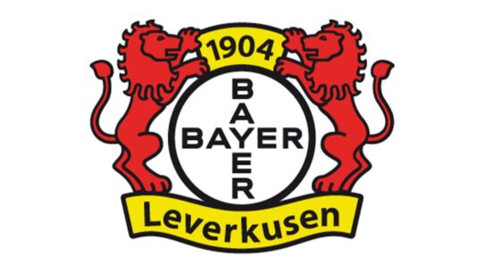 Bayer 04 Leverkusen Color Codes