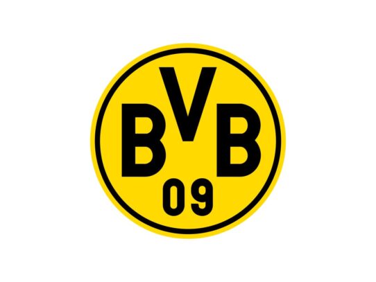 Borussia Dortmund Color Codes