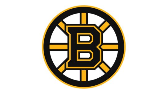 Boston Bruins Color Codes