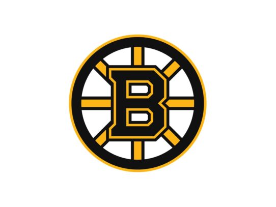 Boston Bruins Color Codes
