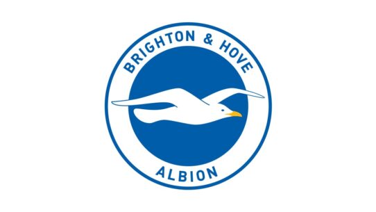 Brighton and Hove Albion color codes