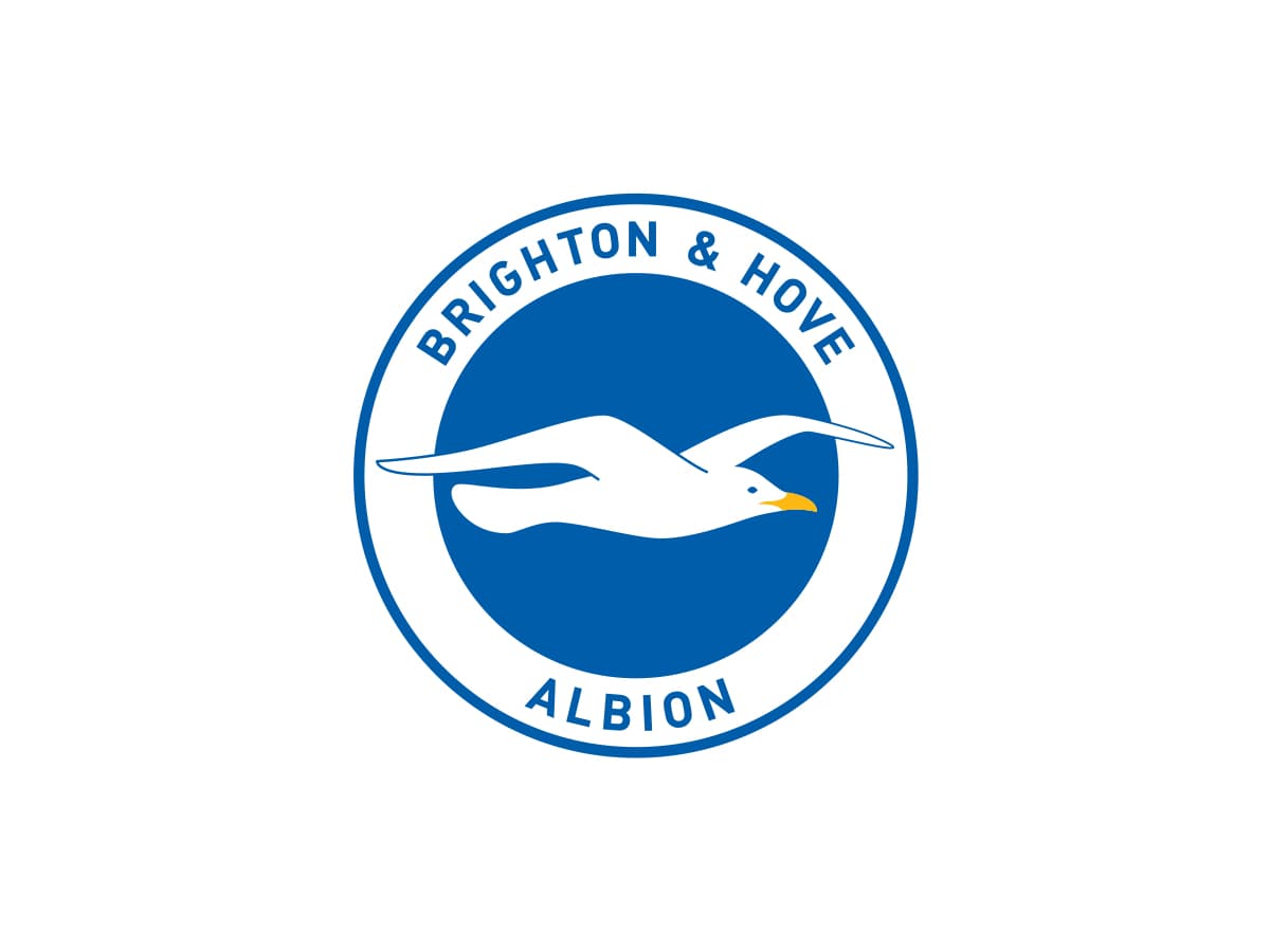 Brighton and Hove Albion color codes