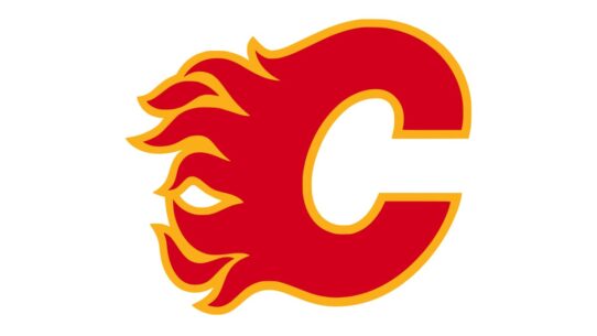Calgary Flames Color Codes