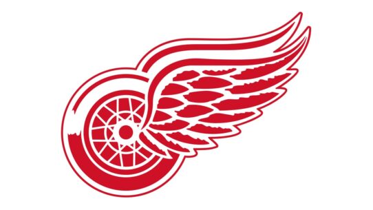 Detroit Red Wings Color Codes