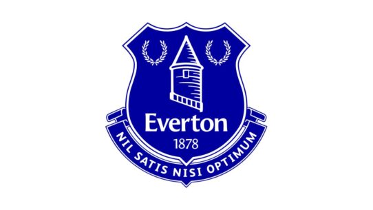 Everton Color Codes