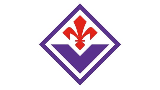 Fiorentina Color Codes