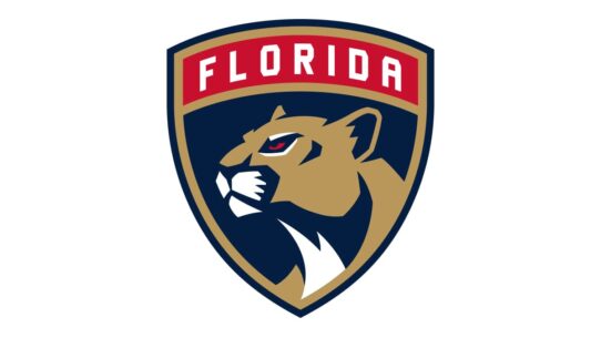 Florida Panthers Color Codes