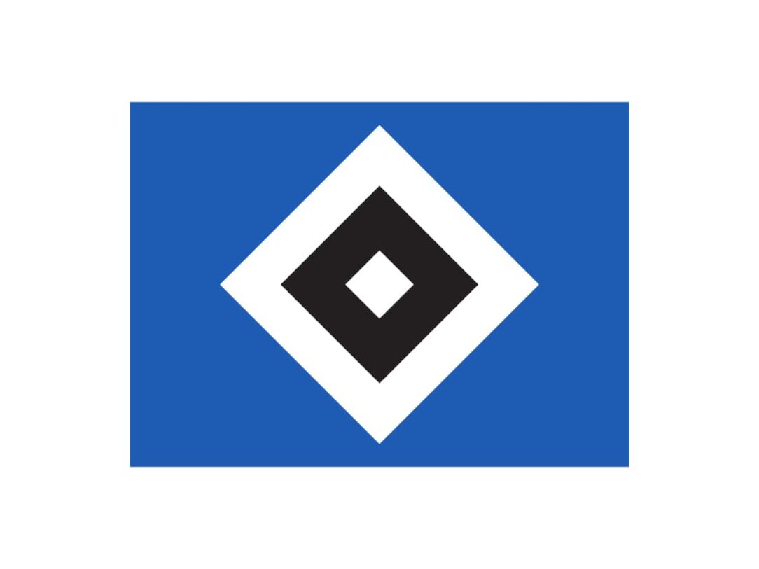 Hamburger SV Color Codes: HEX, RGB, CMYK and Pantone - Sports Color Codes