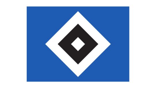 Hamburger Sv Color Codes
