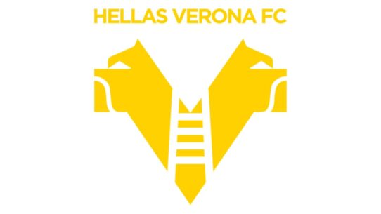 Hellas Verona Color Codes
