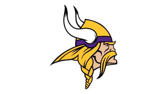 Minnesota Vikings Color Codes