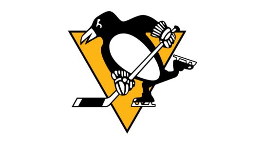 Pittsburgh Penguins Color Codes