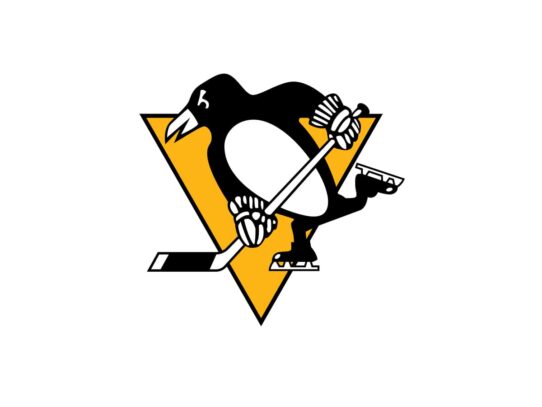 Pittsburgh Penguins Color Codes