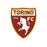 Torino Color Codes
