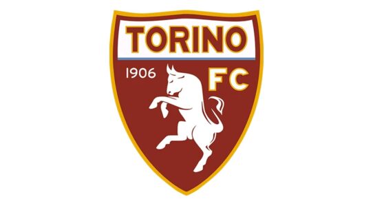 Torino Color Codes