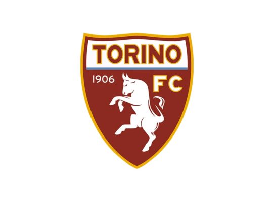 Torino Color Codes