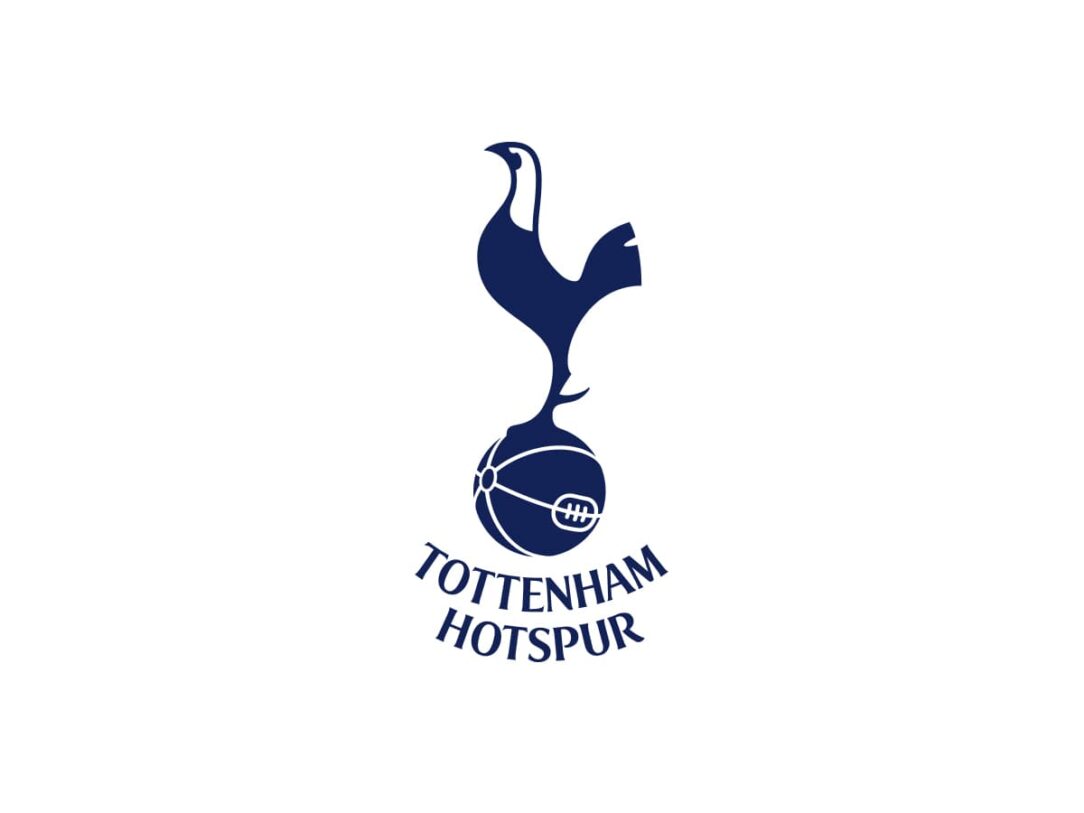 Important Note Color Tottenham Hotspur Color Codes: HEX, RGB, CMYK and Pantone - Sports ...